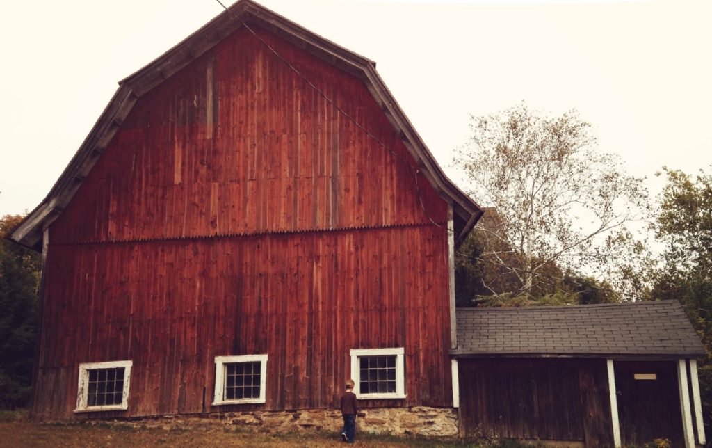 Cranberry Barn by Evening