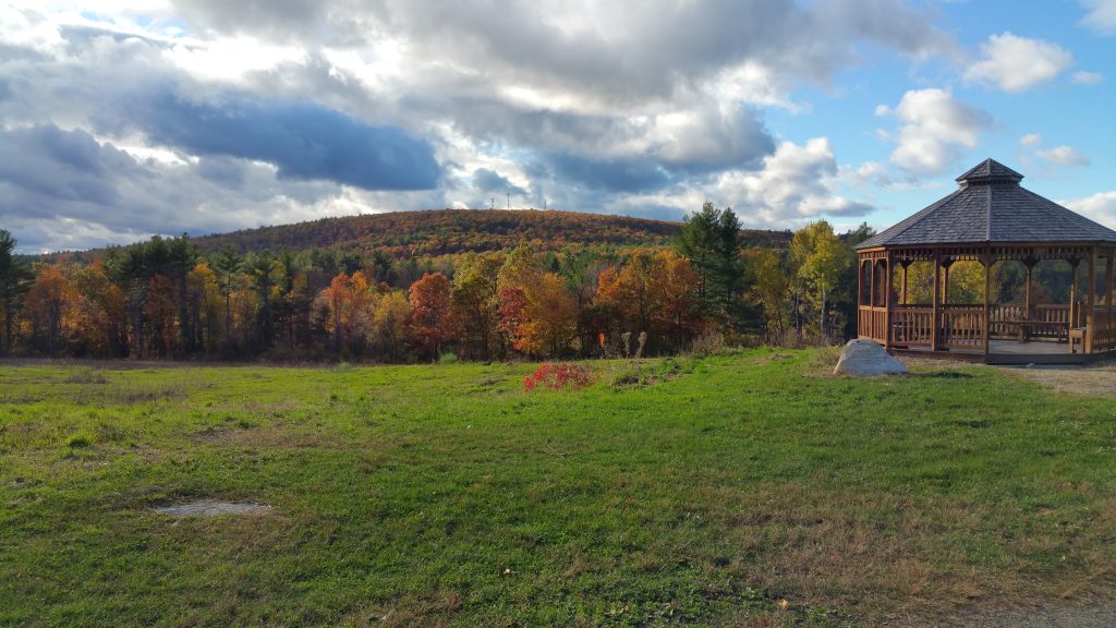 Early Autumn Mornings